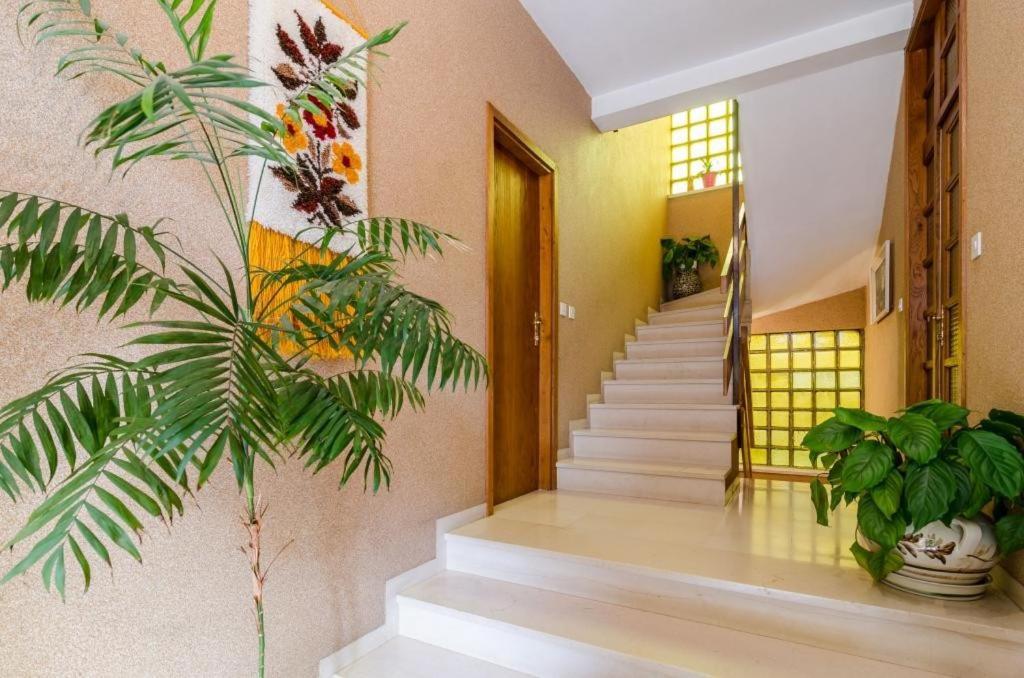 דוברובניק Apartments Villa Ivka מראה חיצוני תמונה