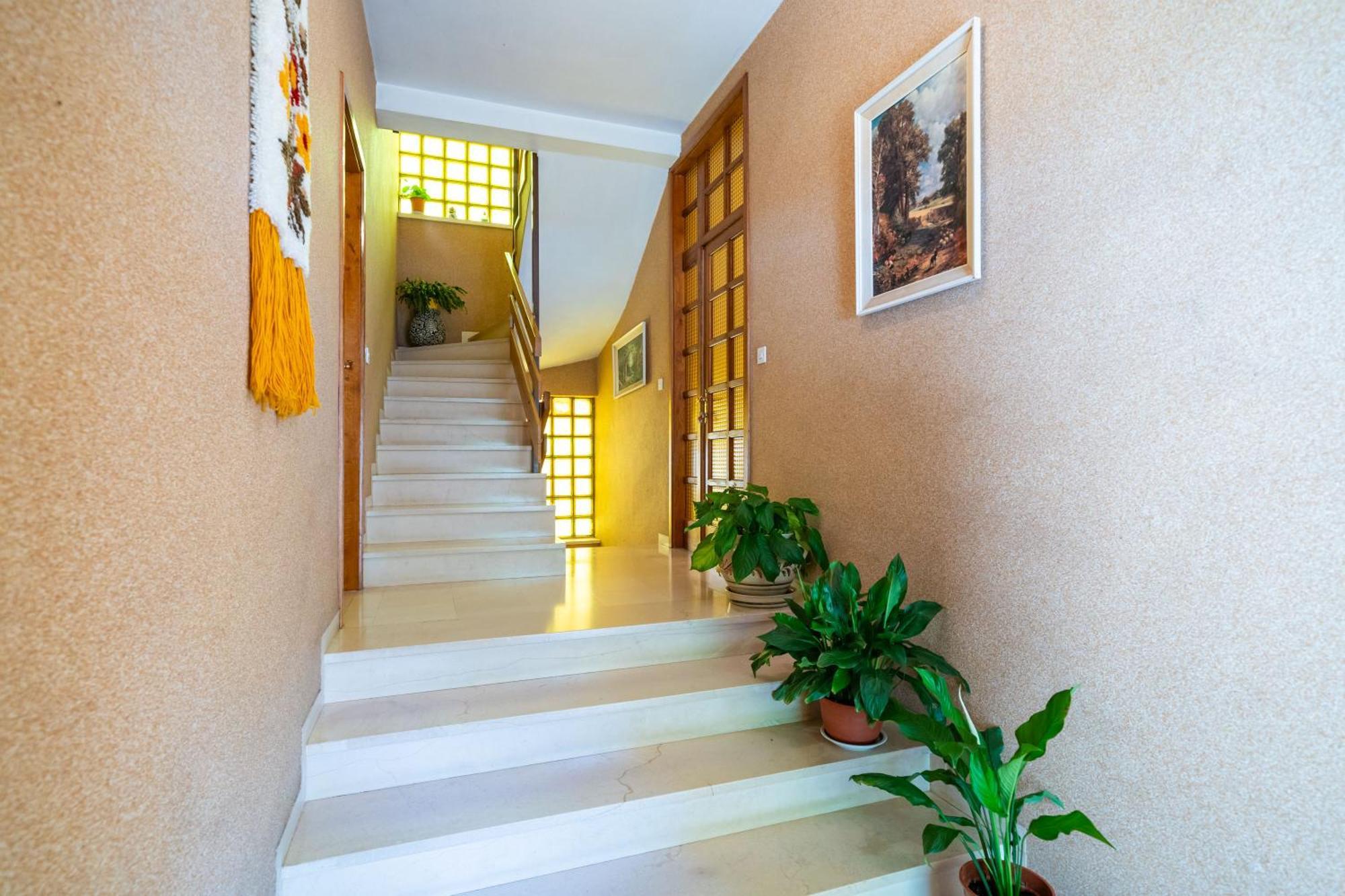 דוברובניק Apartments Villa Ivka מראה חיצוני תמונה